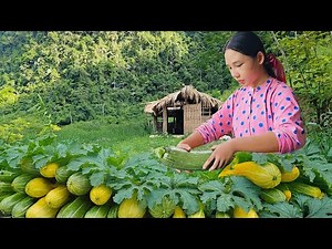 How to Collect Pumpkins and Prepare for the Market – A Peaceful Day in the Countryside