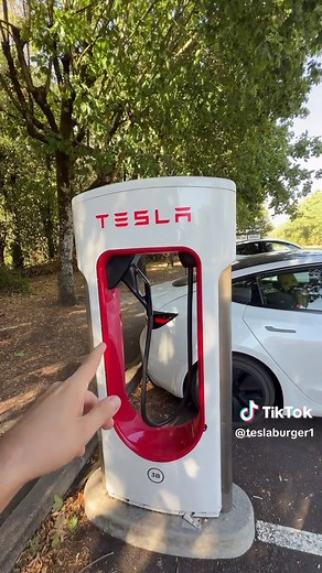Comparatif bornes de recharge : Supercharger vs autres bornes