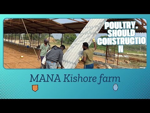 How to Build a Poultry Shed: A Step-by-Step Guide