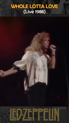 Led Zeppelin - Whole Lotta Love (Live 1988) #ledzeppelin #jimmypage #rocknroll #rock
