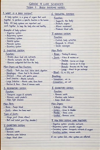 Grade 9 Natural Sciences Body Systems Summary