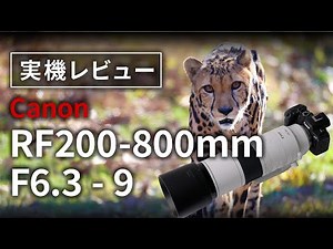 ズームで変わる世界 Canon RF200-800mm F6.3-9 【実写レビュー】
