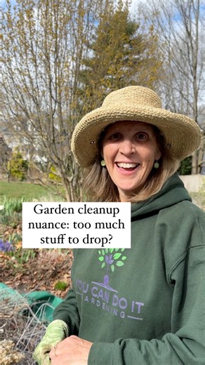 Spring cleanup is nuanced and varies widely depending on various circumstances. See something I did on this from last week which talked a bit about temperatures and the span of time over which insects are becoming more active (spoiler: it’s not necessarily after 5 days in a row of 50 degrees). I “chop and drop” where I can and have the space for it (where you cut back bits of perennials from the prior season and tuck them around the base of the plants). This all biodegrades over time which is gr