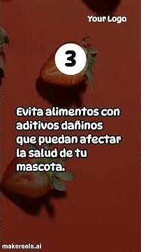 Cómo saber si la comida de tu gato es de buena calidad