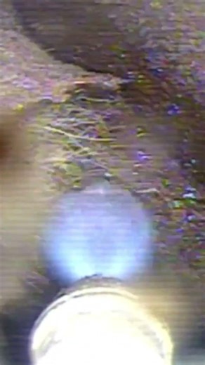 Pipe Roots? Not Anymore! #innovation #tech #sewerrobotics