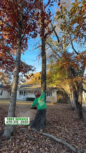 ‼️ Tree Removal project ‼️ Turning a house into their Home ...