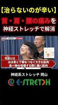 【治らないのが辛い】首・肩・腰の痛みに悩む女性を神経系ストレッチで解消する！ #兼子ただし#ストレッチ #腰痛 #肩こり #セルフケア#