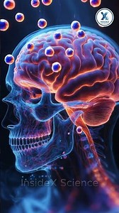 Promethazine Explained 😱 How One Medicine Stops Allergy, Nausea & Motion Sickness!