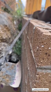 376K views · 6.1K reactions | The builder is seeking a progress...