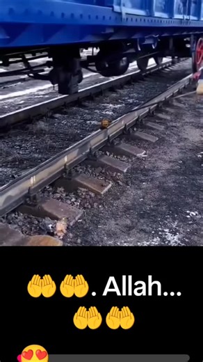 Rehana khan on Instagram: "日本利用压电瓷砖将脚步转化为电能。这些瓷砖捕捉来自你脚步的动能。当你行走时，你的重量和动作会对瓷砖产生压力。瓷砖会轻微弯曲，从而产生机械应力。瓷砖内部的压电材料将这种应力转化为电能。每一步都会产生少量电荷，而数百万步结合在一起就能产生足够的电力来驱动LED灯、数字显示屏和传感器。在像涩谷车站这样繁忙的地方，每天大约有240万个脚步为这一系统作出贡献。这些电能可以被储存或立即使用，从而减少对传统电力来源的依赖，并支持可持续的城市基础设施。这种方法将日常运动转化为实用的可再生能源#日本#知识#事实#你知道吗#推荐科技创新历史技术实验热门"