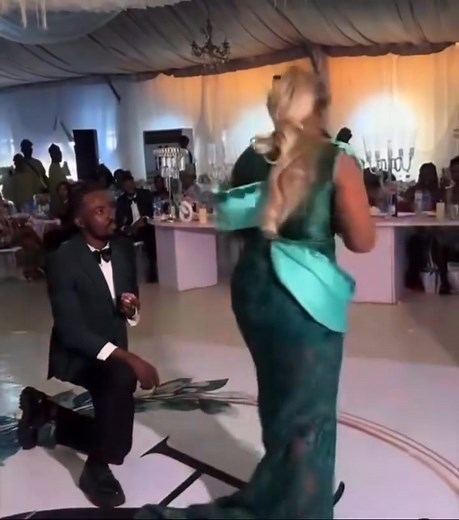 37K views · 492 reactions | Support System 藍藍 | Southern Classic Media | Facebook