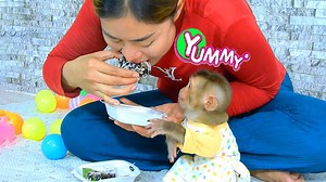 Most Sweetest Baby Monkey Axel Looking So Hungry Seeing Mom Eating Donut Alone Trying to Comfort Mom for Some 🥰 | Julius Monkeys