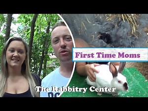 RABBITS FIRST LITTER/FIRST TIME MOMS/WHAT TO EXPECT