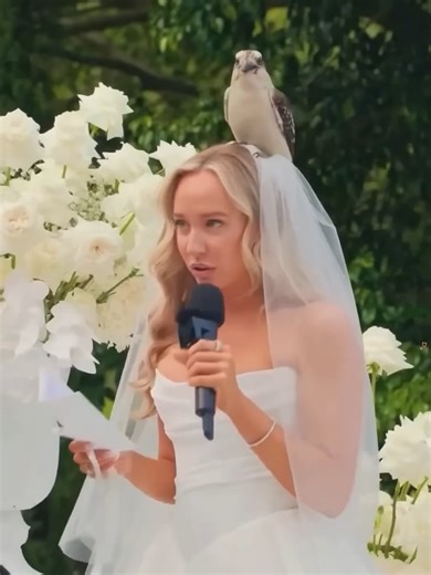 When nature sends its own blessing.❤️#weddingideas #weddingcontentcreator #weddings #weddingvideo #weddingtiktok #weddingvows #weddingday #weddingdress #weddingvibes #wedding #proposalvideo #weddingfunny #weddingmakeup #weddingvideographer #weddingvideography #firstlook #lovestory #bridesmaids