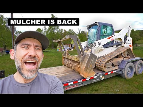 Forestry Mulcher Clears Overgrown Property