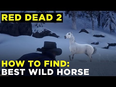 How to find the best horse in Red Dead Redemption 2 – White Arabian, fastest wild horse location