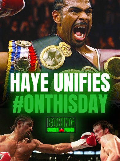David Haye's Historic Knockout of Enzo Maccarinelli