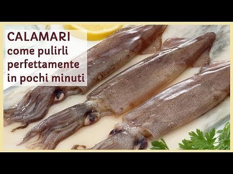 SQUID: How to Clean Them Perfectly in Just a Few Minutes