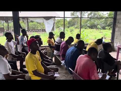 Everything you need to know about pig feed: how to formulate pig feed to achieve 100 kg in 6 months