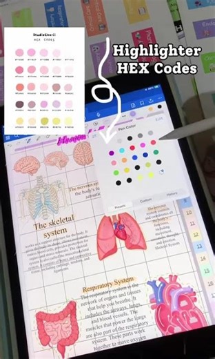 My Goodnotes Settings | Ball Pen Setup, Pen Thickness, Color HEX Codes & Sticker Organization Tips