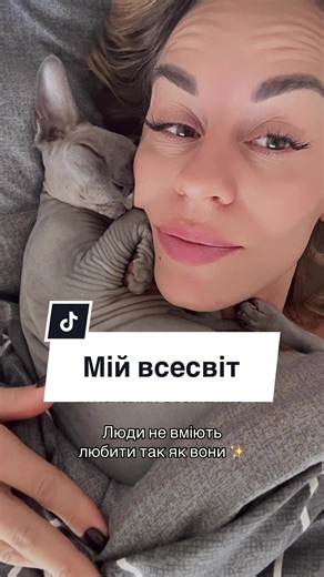 Sphynx Cat Relaxing on Chest: Adorable Moments