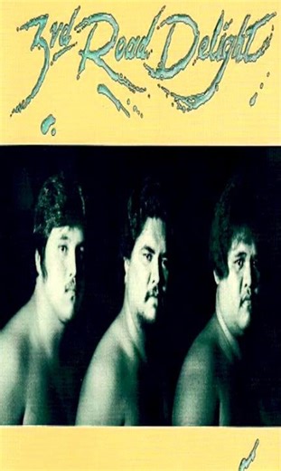 White Sandy Beach of Hawaii 1985