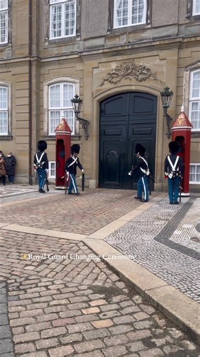 7.4K views · 174 reactions | Royal Guard Copenhagen | The Iconic Changing of the Guard Ceremony  Part 6 | My Danish Experience | Facebook