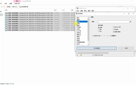 ReNamer 系列教程（3）去除文件名中的重复内容