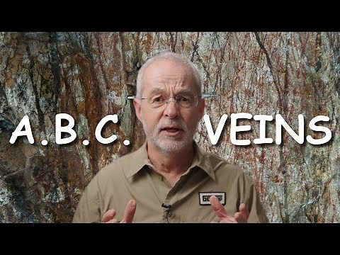 A, B and D-Type Veins in Porphyry Copper Deposits