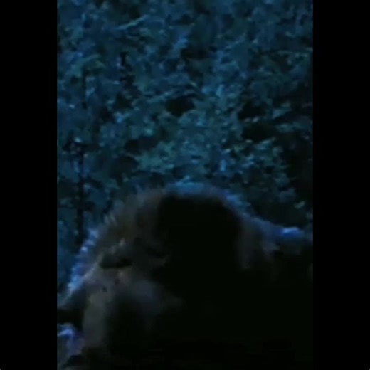 Collin Littlesea: Exploring Twilight Themes