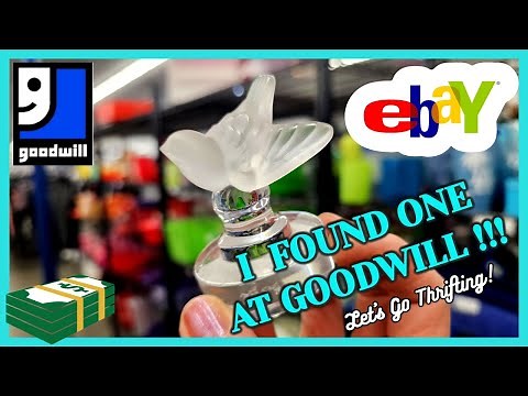 I CAN'T BELIEVE I FOUND ONE at GOODWILL! / THRIFT WITH ME / Top 5 BEST SELLING ITEMS