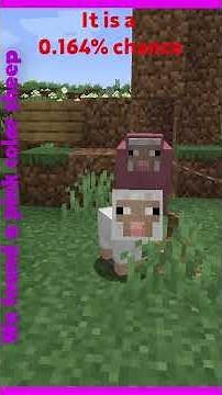 Minecraft pink color sheep. (Minecraft Rare Mobs)