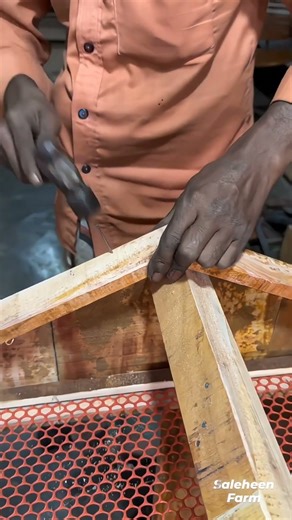 Making chicken house shed frame! 🐓🏠#house #woodwork #woodworking