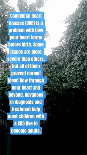 #chd Congenital Heart Disease