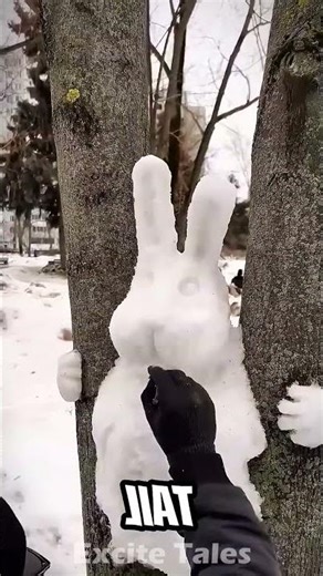 Snow Rabbit Traps vs Traditional Traps Which is Best for Hunting