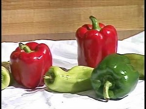 Color and Its Compliment - An Oil Painting Lesson by Helen Van Wyk