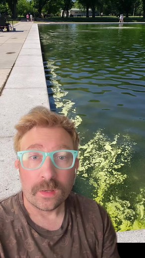 6/15 - REFLECTING POOL INFECTED WITH ALGAE AFTER ~$20M TRUMP RESURFACING JOB #washingtondc #nationalpark #news #trump #algae