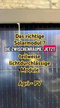 The right solar module - translucent, Agri PV - DIY patio roof, Jolywood - 5 percent light