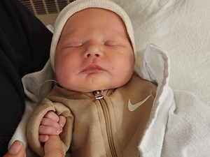 Meet some of Sudbury's newest arrivals