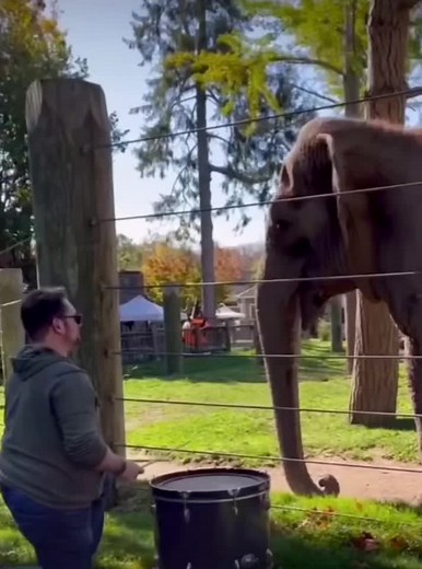 Line (@xlinememes)’s videos with original sound - Line