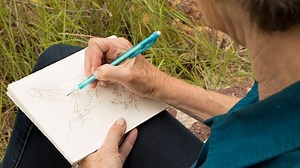 Illustrated Nature Journaling