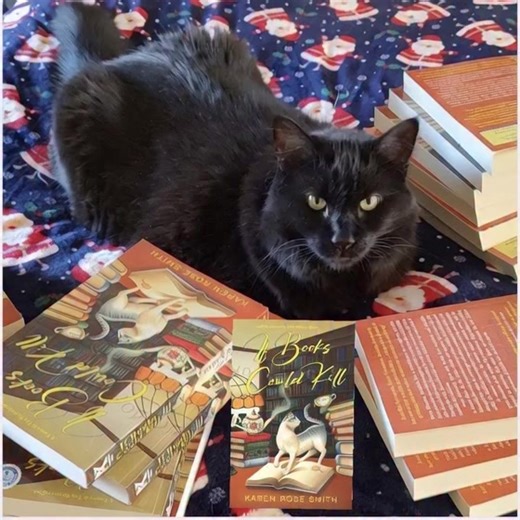 Freya is helping to sort cozies. I’ve told her the ice festival in IF BOOKS COULD KILL is particularly beautiful. And tea is warming up the participants in the library tent. #cozymystery #tomes&tea #mysteryseries Stay tuned for more details about my newest cozy ready for release in March. | Karen Rose Smith