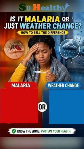 Feverish Feeling: Malaria Or Typhoid? Here’s How To Know