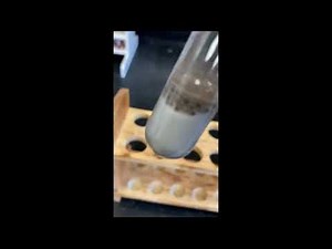 Part B Decomposition Hydrogen Peroxide and MnO2