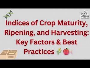 Indices of Crop Maturity, Ripening, and Harvesting: Key Factors & Best Practices 🌾🍎