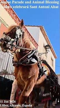 🐴 Desfile de Caballos y Carros 🐎Horse & Cart Parade Sant Antoni Abat Llíber Espana