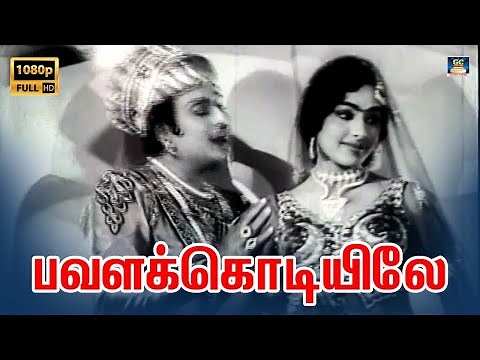 Pavalakodiyile Video Song HD | பவளக்கொடியிலே Song | Panam Padaithavan | M.G.R |K.R.Vijay |TMS.
