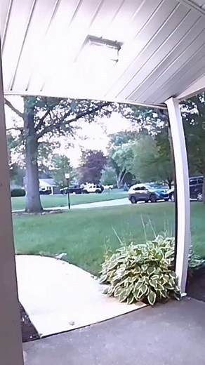 808K views · 5.6K reactions | 藍藍藍 | Viola Davis | Facebook