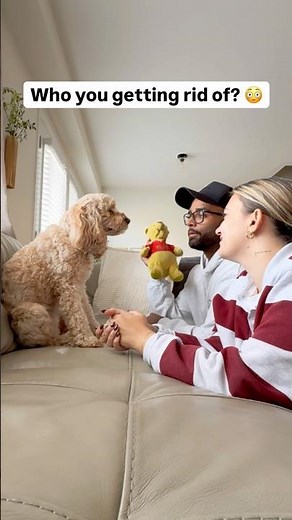 Mini Cockapoo Picks Who She Wants To Get Rid Of 😳