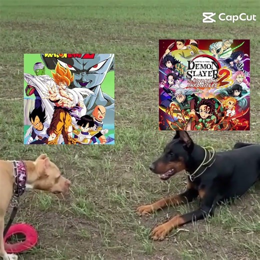 nada de demon slayer puro dragonbal #dragon ball por siempre